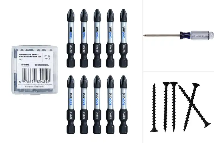 Detailed view of Best #2 Phillips Drive Screws