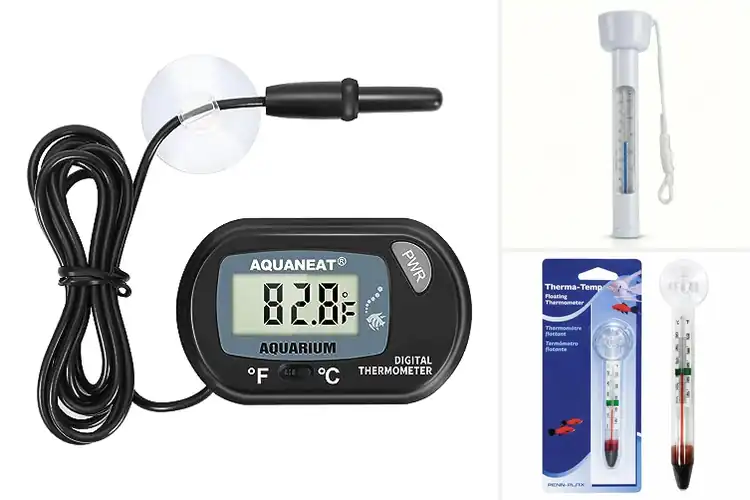 Detailed view of Best Aquarium Pond Thermometer