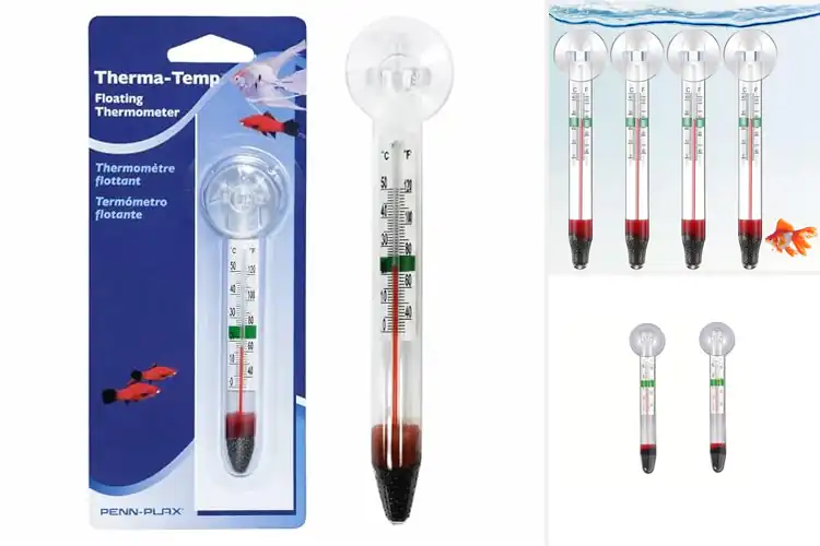 Detailed view of Best Aquarium Thermometer Floating