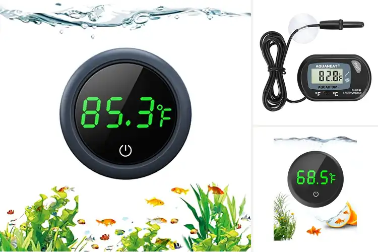 Detailed view of Best Aquarium Thermometers