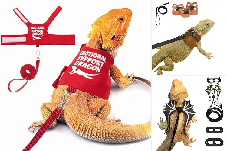Detailed view of Best Bearded Dragon Harnesses