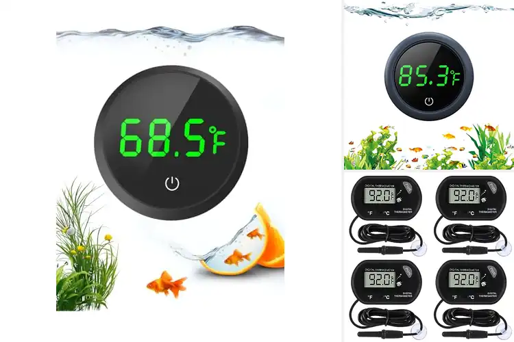 Detailed view of Best Digital Aquarium Thermometers