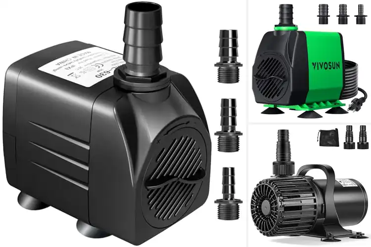 Detailed view of Best Fish Pond Pumps
