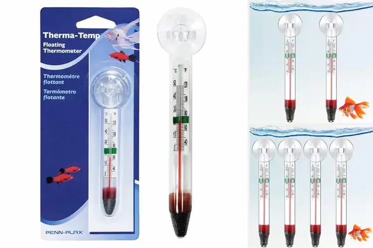 Detailed view of Best Floating Thermometers For Aquariums