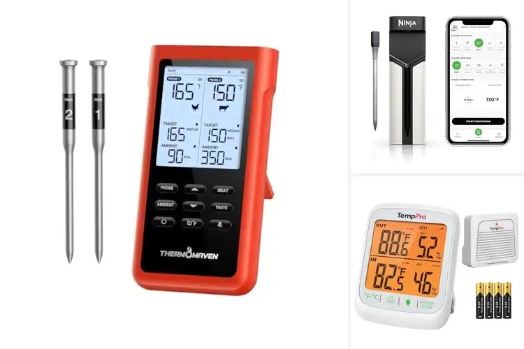 Detailed view of Best Long Range Connection Thermometer