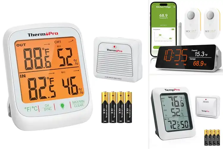 Detailed view of Best Long Range Wireless Thermometers
