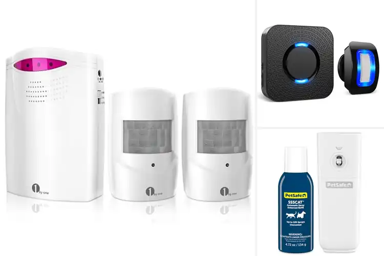 Detailed view of Best Motion Systems