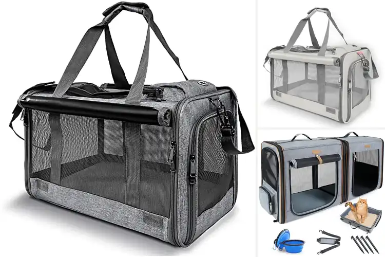 Detailed view of Best Outdoor Travel Carriers
