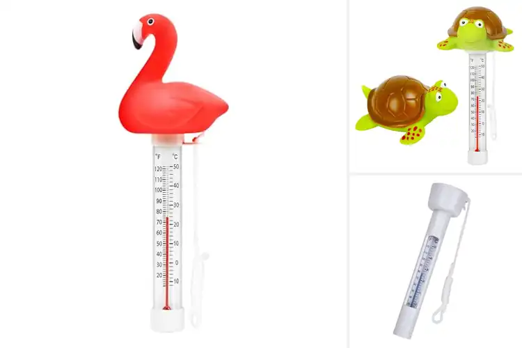 Detailed view of Best Pool Temperature Gauges