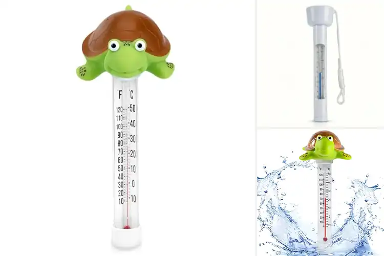 Detailed view of Best Pool Thermometers for Aquariums