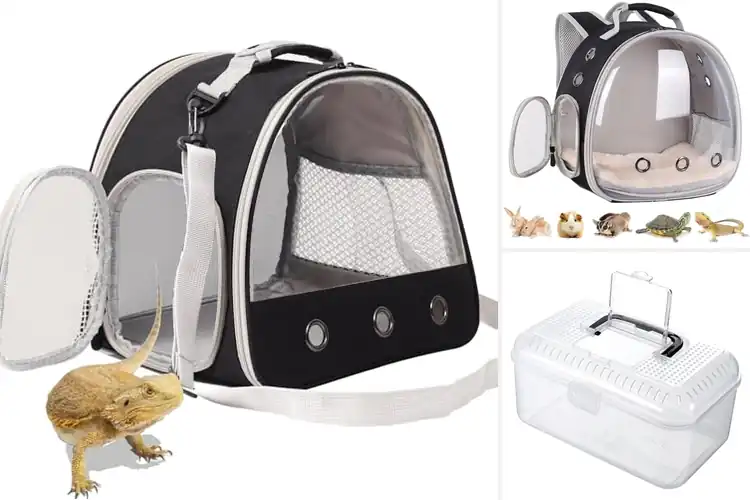 Detailed view of Best Portable Lizard Carriers