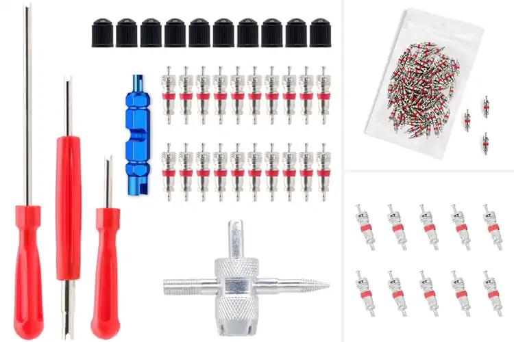 Detailed view of Best Schrader Valves