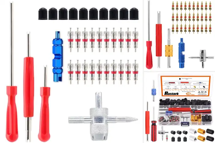 Detailed view of Best Tire Schrader Valve Kit